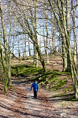 DSC_1703