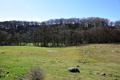 DSC_1704