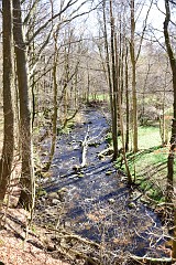DSC_1821