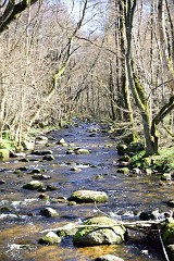 DSC_1848