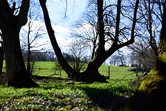 DSC_1854