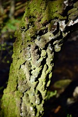 DSC_1856