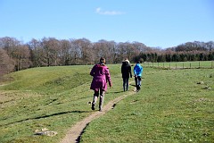 DSC_1861