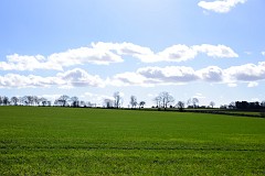 DSC_1887