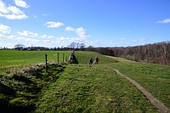 DSC_1894