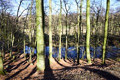 DSC_1897