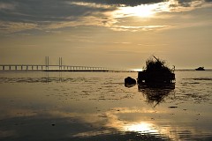 DSC_3917