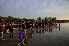 DSC_3939