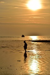 DSC_3941