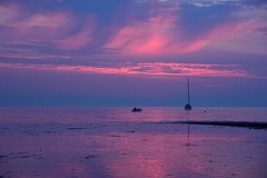 DSC_4019