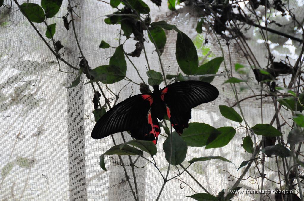 DSC_0073.JPG