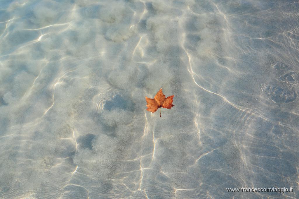 DSC_2299.JPG