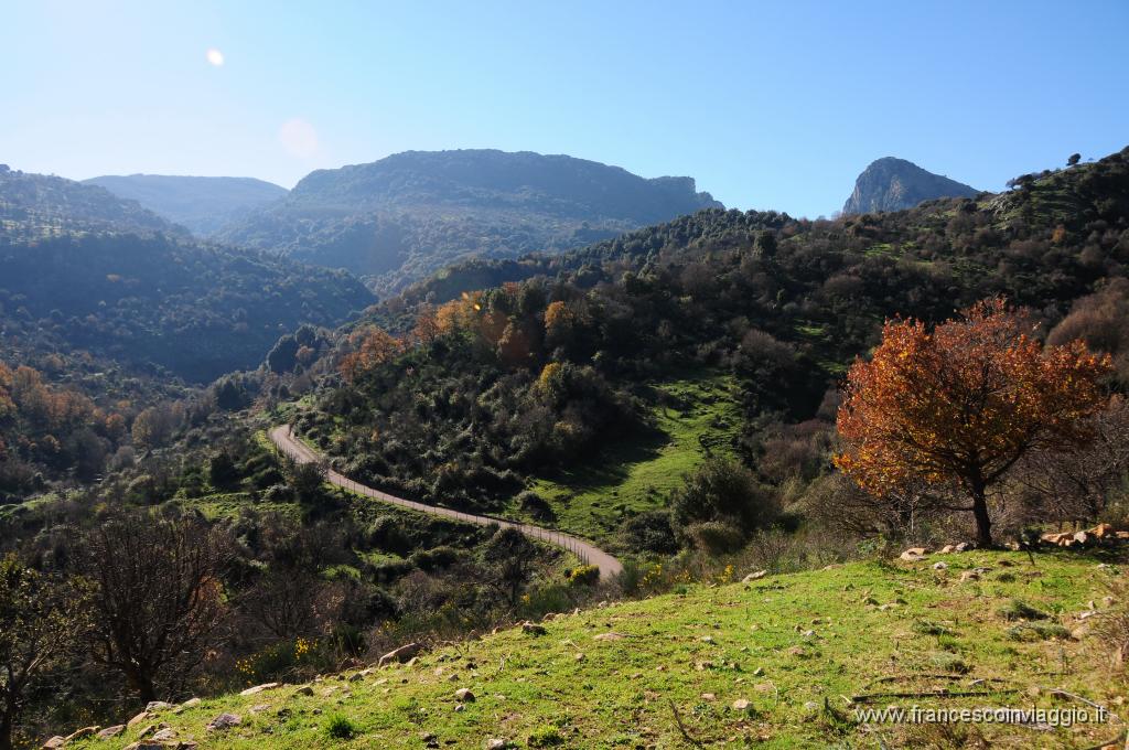 DSC_4665.JPG