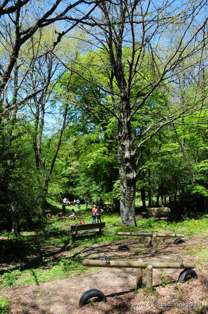 DSC_1557.JPG