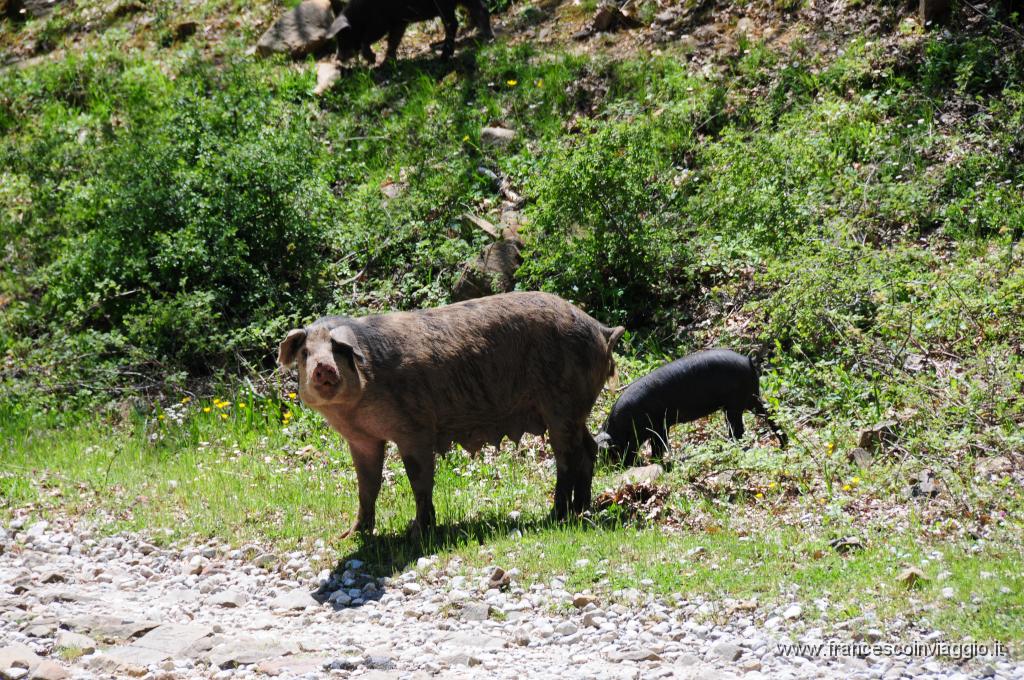DSC_1563.JPG