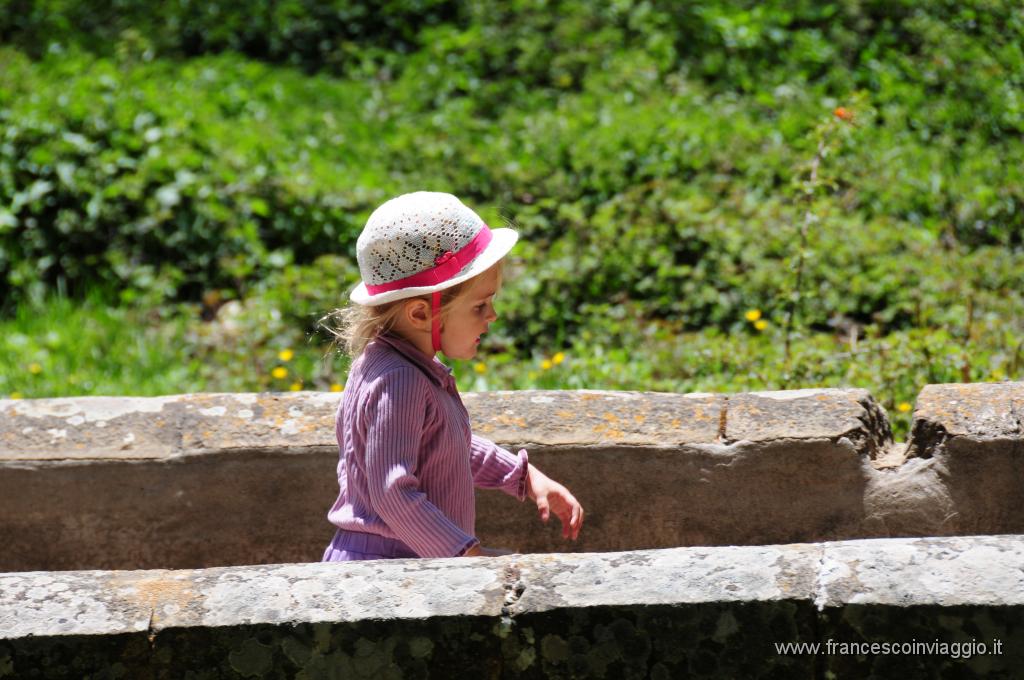 DSC_1648.JPG