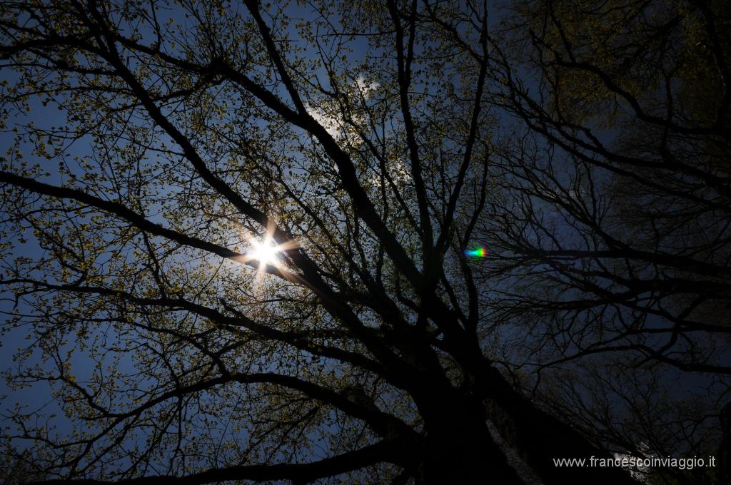 DSC_1683.JPG