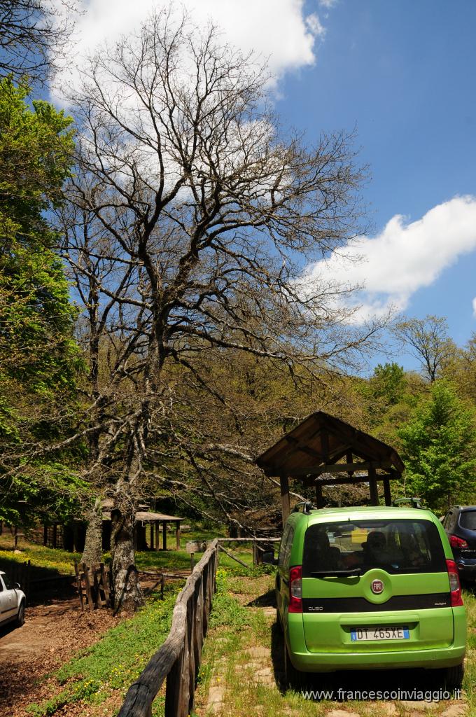 DSC_1707.JPG