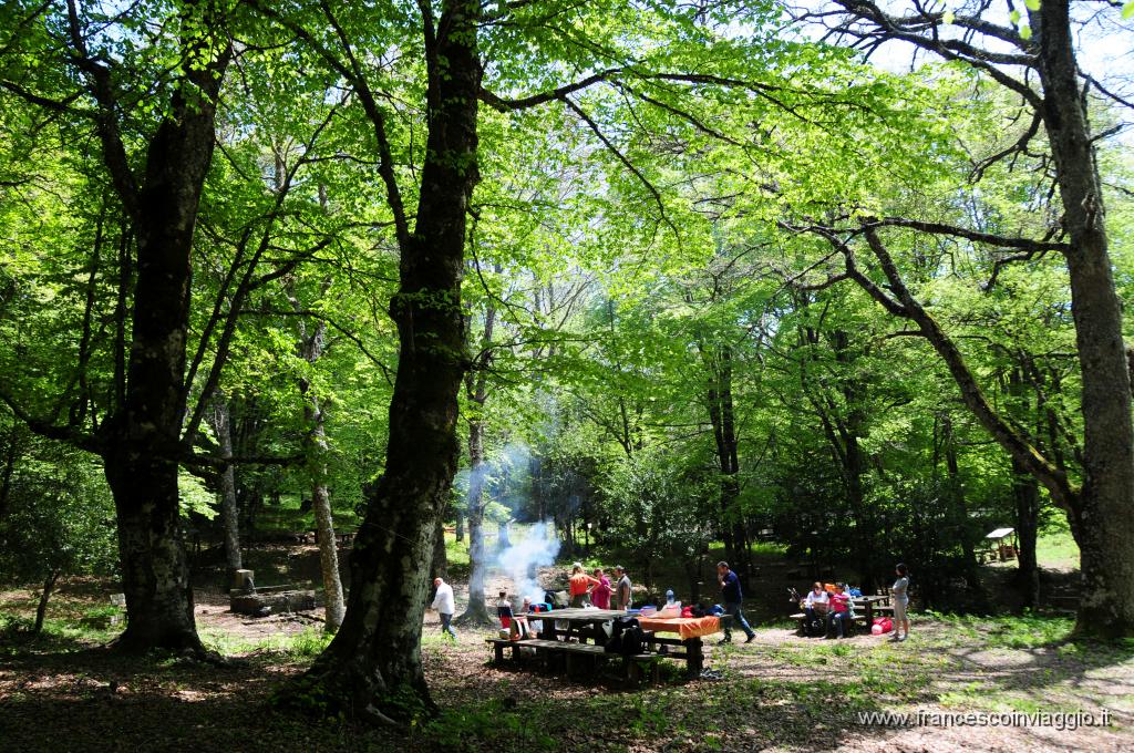 DSC_1736.JPG