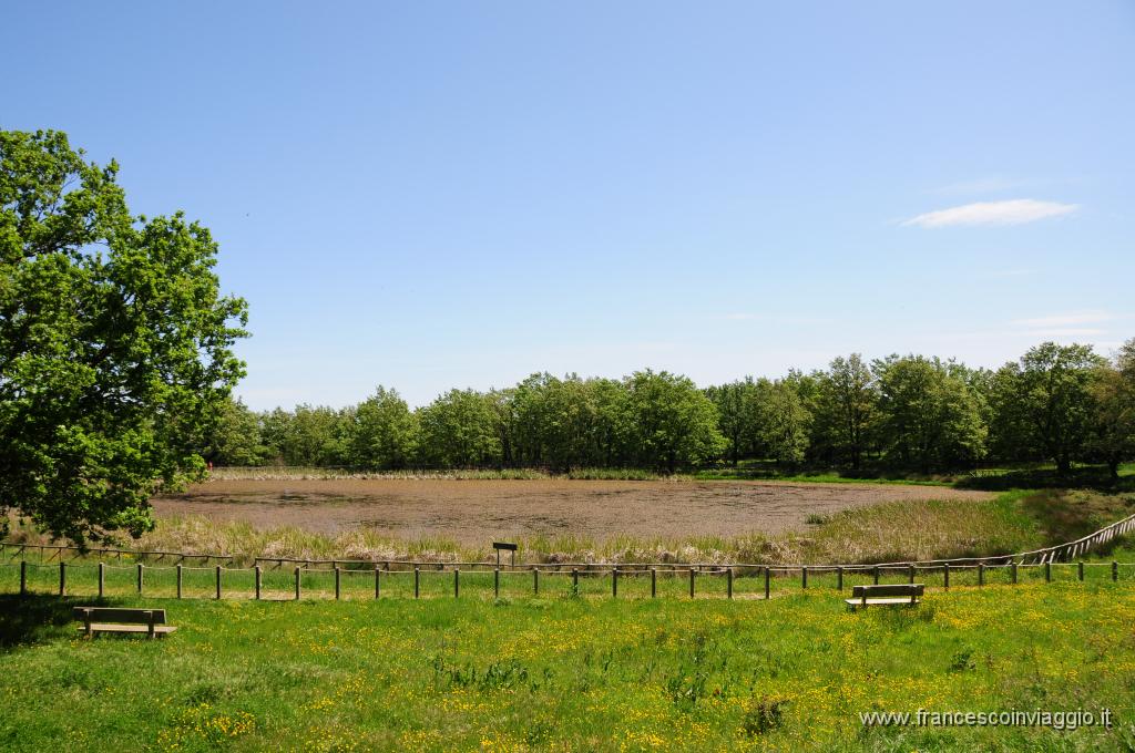 DSC_1864.JPG