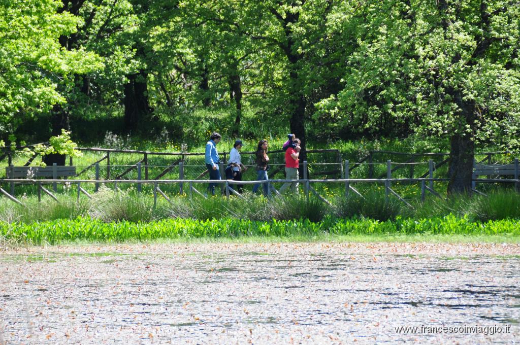 DSC_1866.JPG