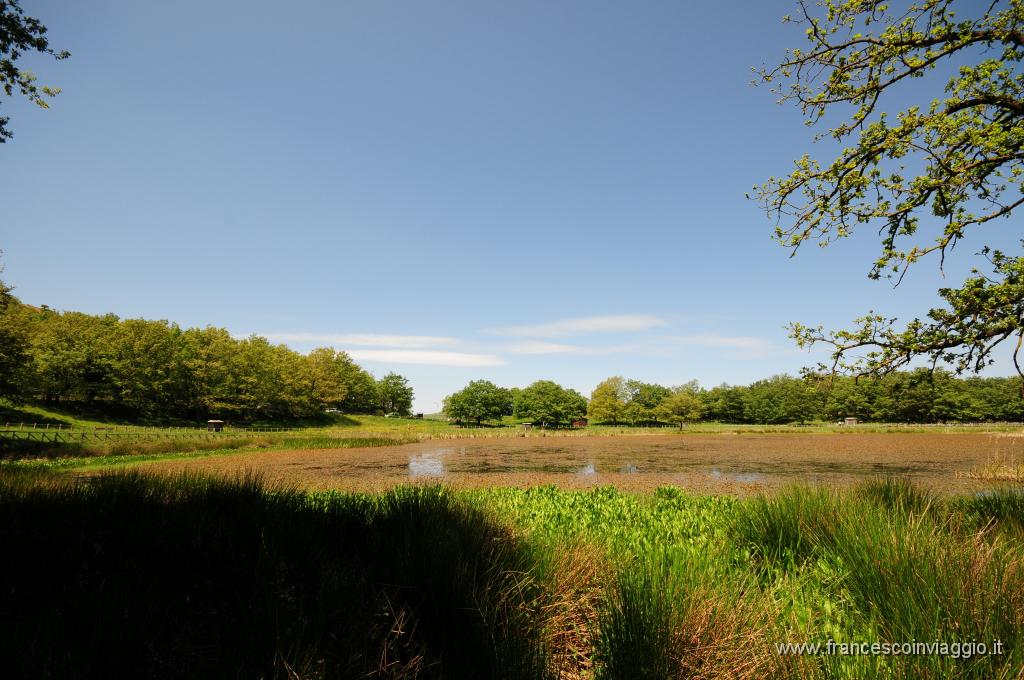 DSC_1885.JPG