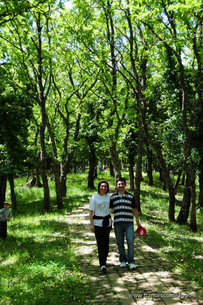 DSC_1906.JPG