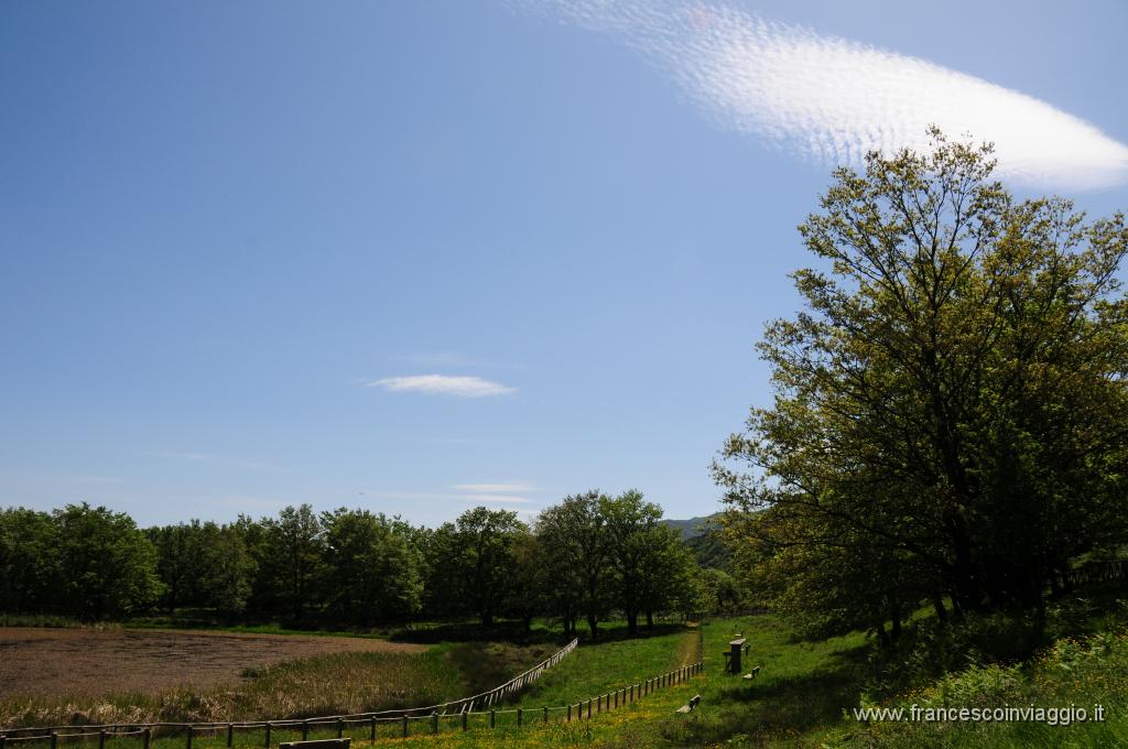 DSC_1865.JPG