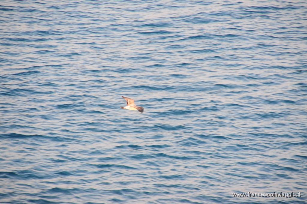 DSC_1126.JPG