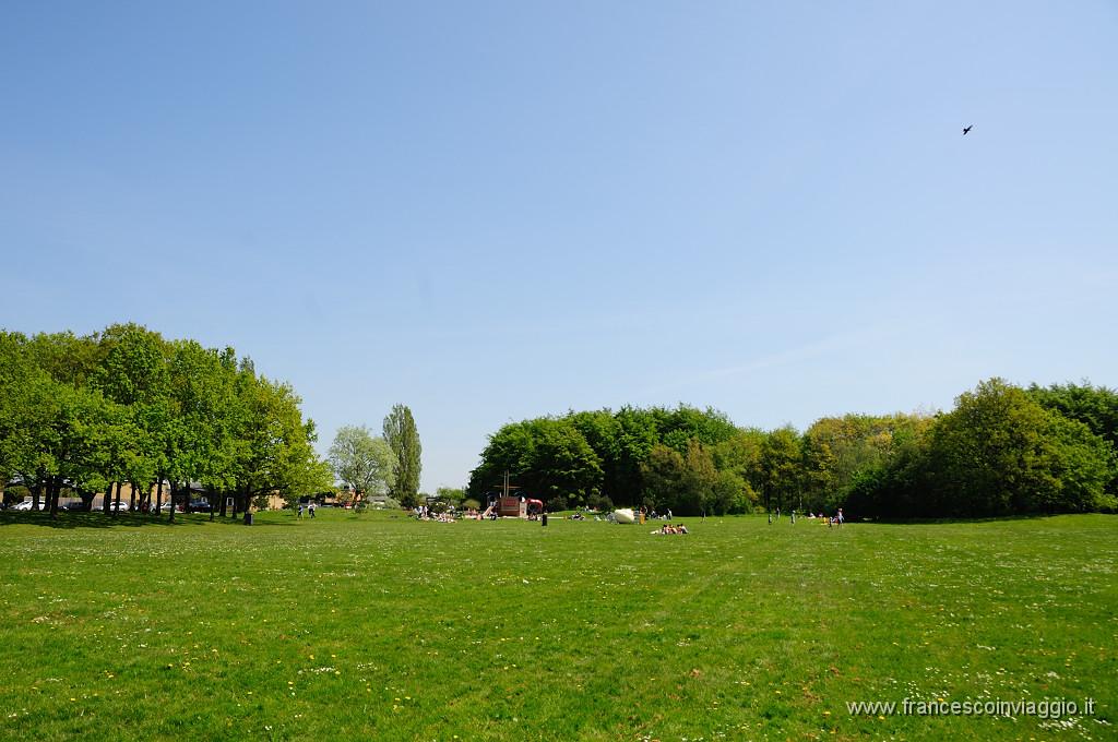 DSC_9563.JPG