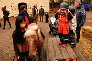 _DSC0431