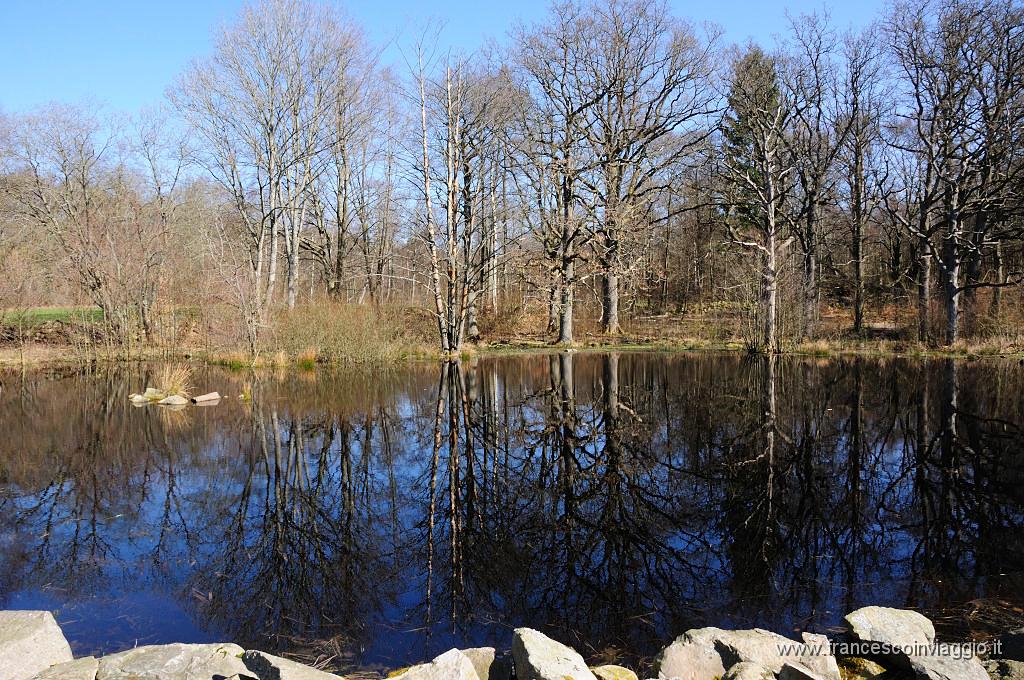 003_DSC5958.JPG
