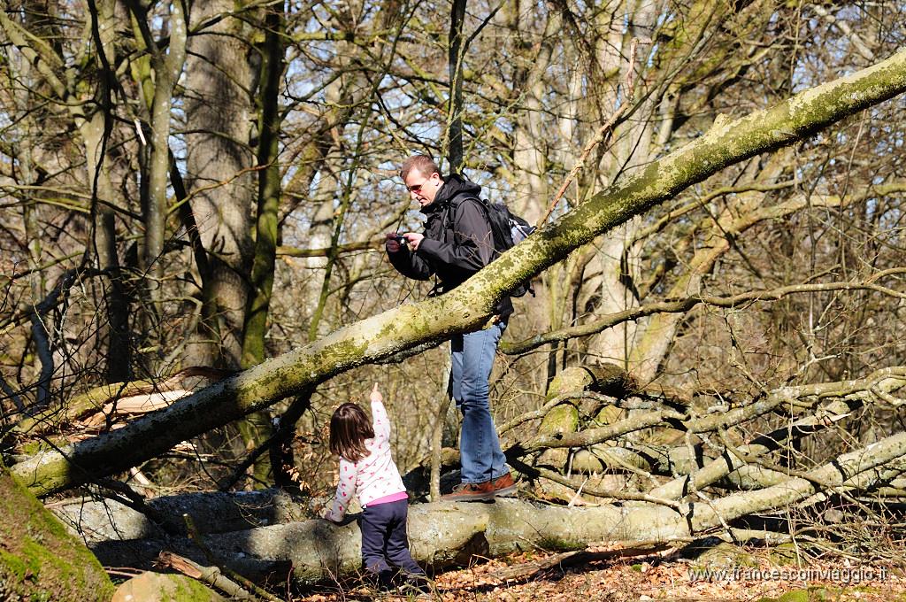 023_DSC5998.JPG