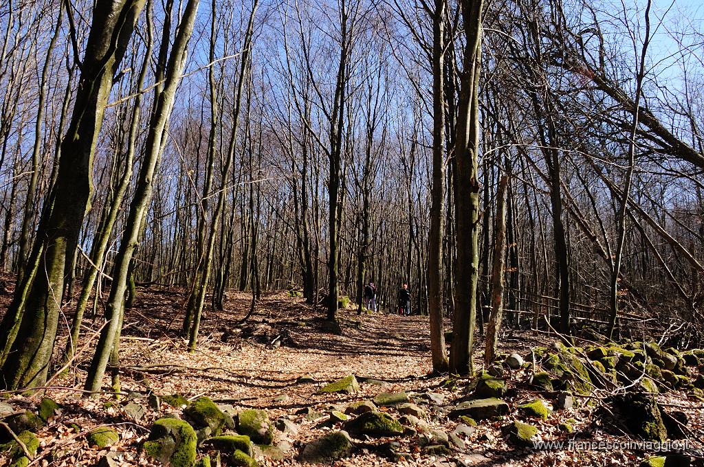 039_DSC6033.JPG