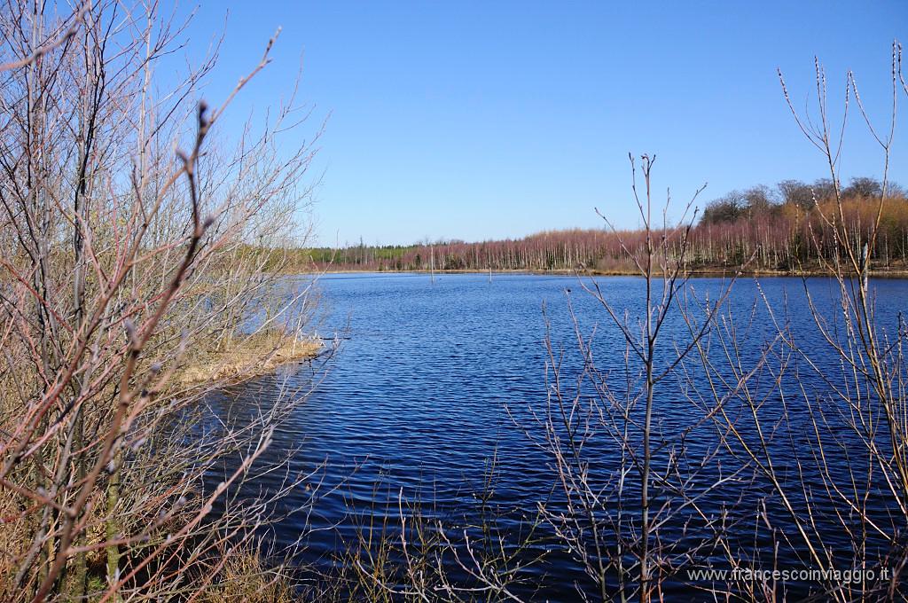 140_DSC6286.JPG