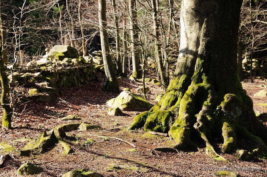192_DSC6415.JPG