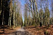 001_DSC5953