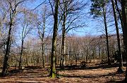 014_DSC5981