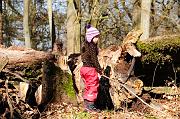 021_DSC5994