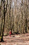 033_DSC6019