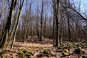 039_DSC6033