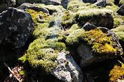 083_DSC6119