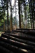 104_DSC6175
