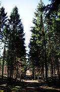 107_DSC6181