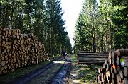 111_DSC6195