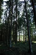 173_DSC6359