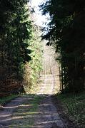 182_DSC6389