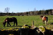 215_DSC6466