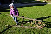 220_DSC6475