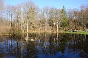 221_DSC6476